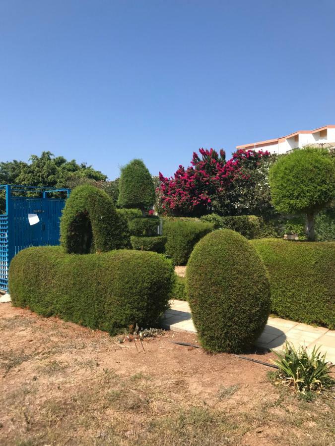 2 Bedroom Apartment-Mediterranean Type パ フォス エクステリア 写真